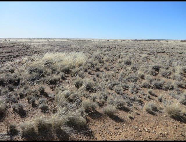 4,303HA FARM FOR SALE IN CALVINIA RURAL
